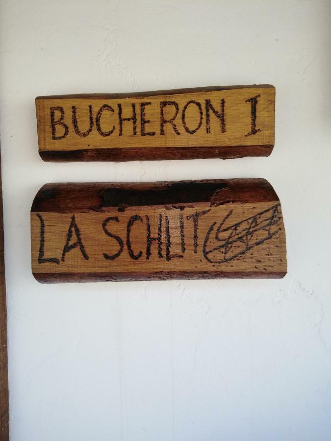 Le Gite Du Bucheron Dabo Esterno foto