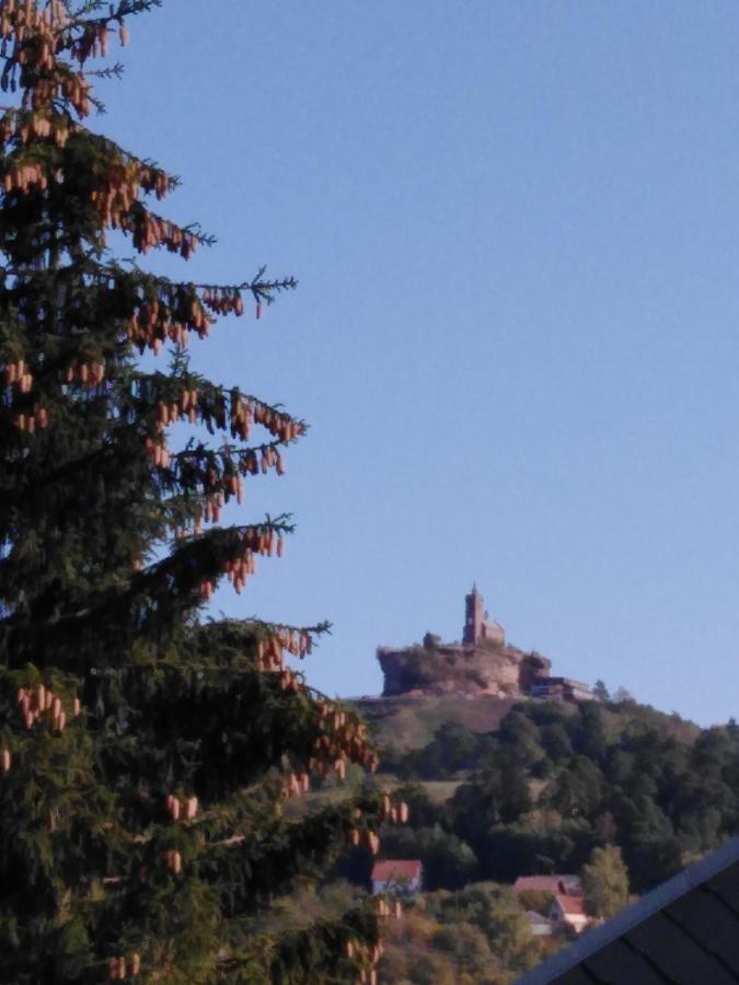 Le Gite Du Bucheron Dabo Esterno foto